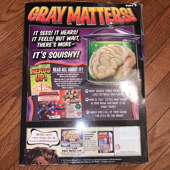 New‼️The Amazing Squishy Brain by Smart Lab - Picture 6 of 6